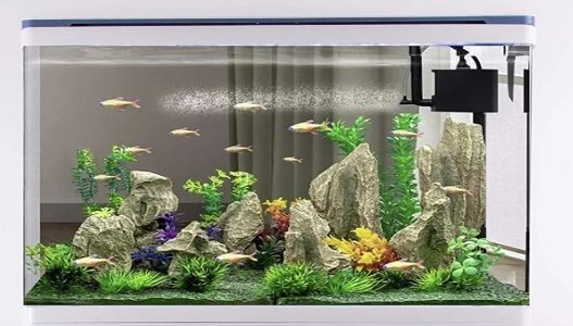 Aquarium Tank